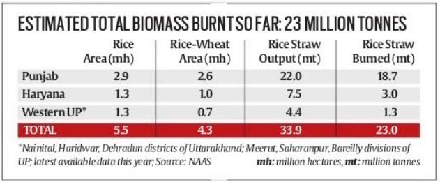 Estimated Biomass burnt